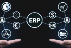 成功遵义ERP项目管理的关键控制点